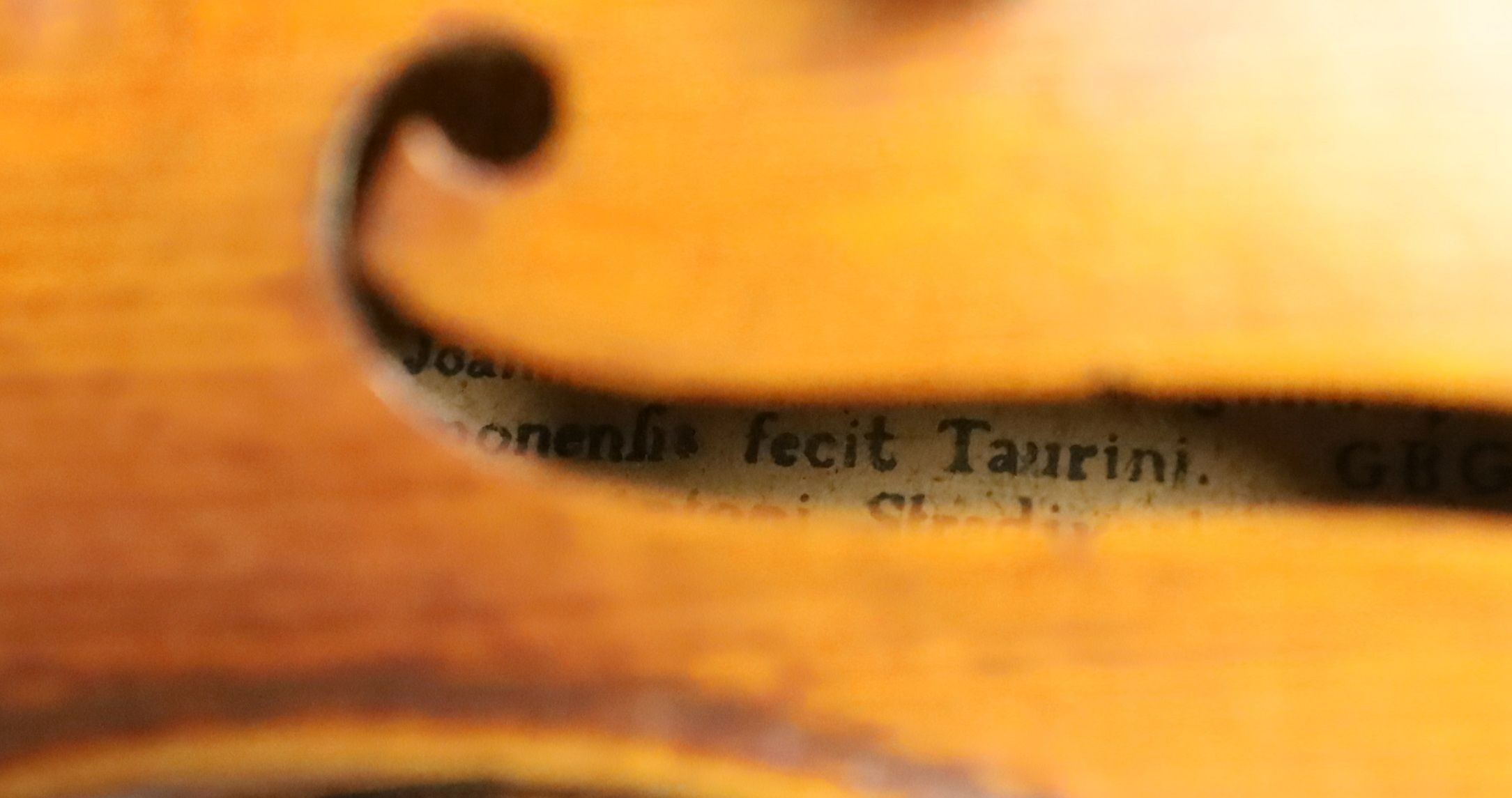 A 19th century violin labelled JB Guadagnini, back measures 35cm, with two bows, one silver-mounted.